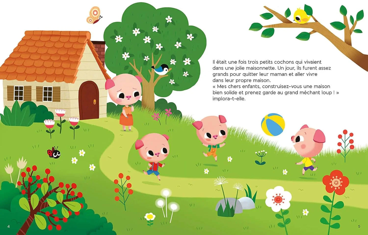 Les p'tits classiques - ma jolie bibliothèque de contes classiques