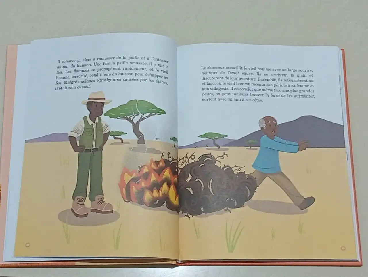 Mes 30 Histoires d'Afrique